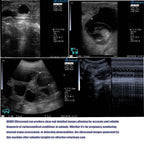 Veterinary Ultrasound Scanner