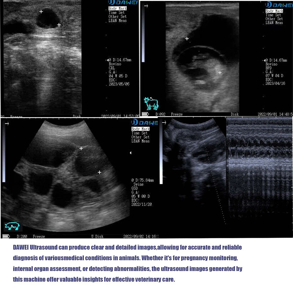 Veterinary Ultrasound Scanner