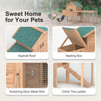 Chicken Coop/2-4 Chickens