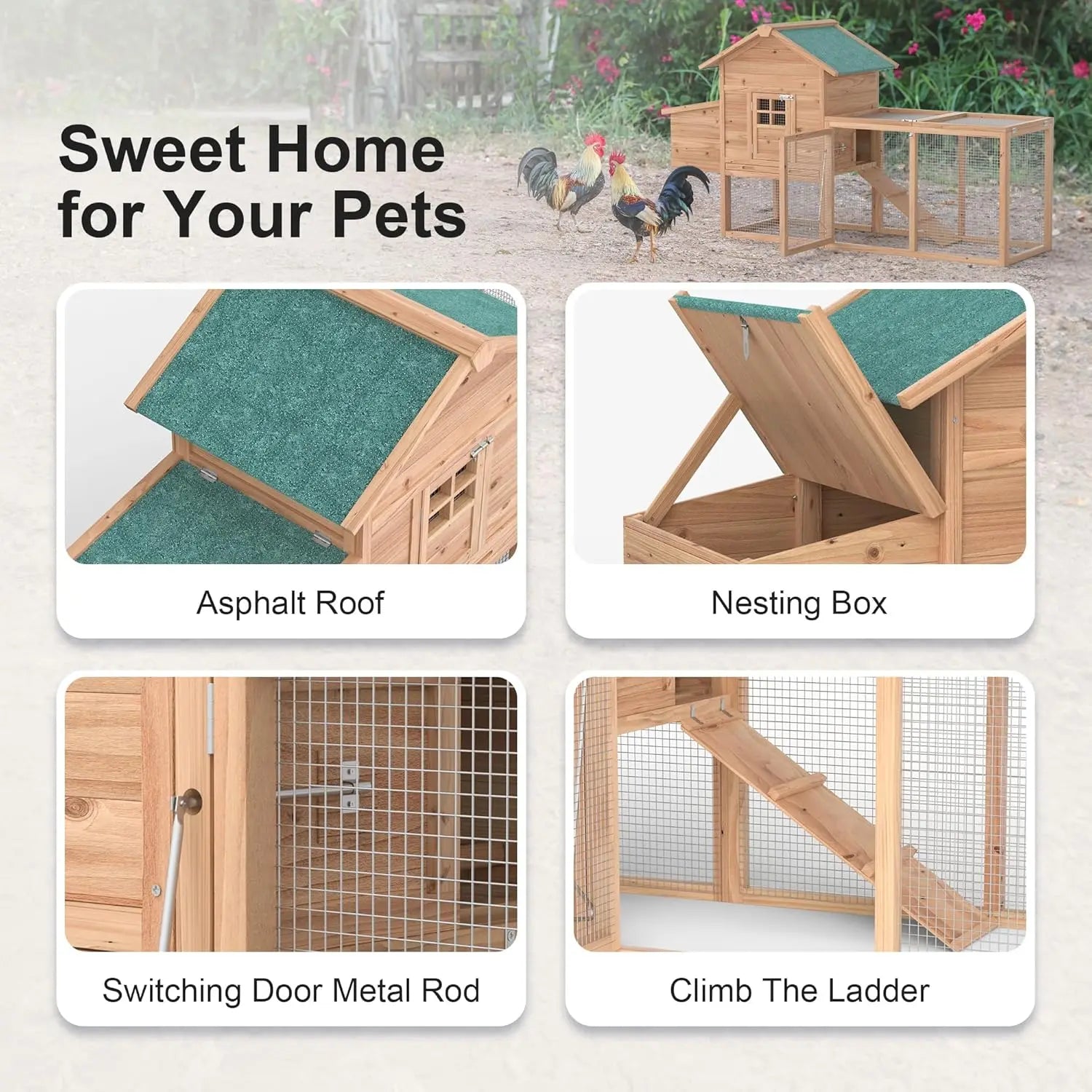 Chicken Coop/2-4 Chickens