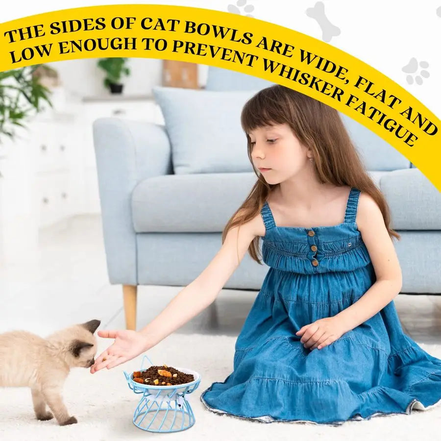 Cat/Dog Feeder