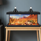 82 Gal Black Bearded Dragon Enclosure
