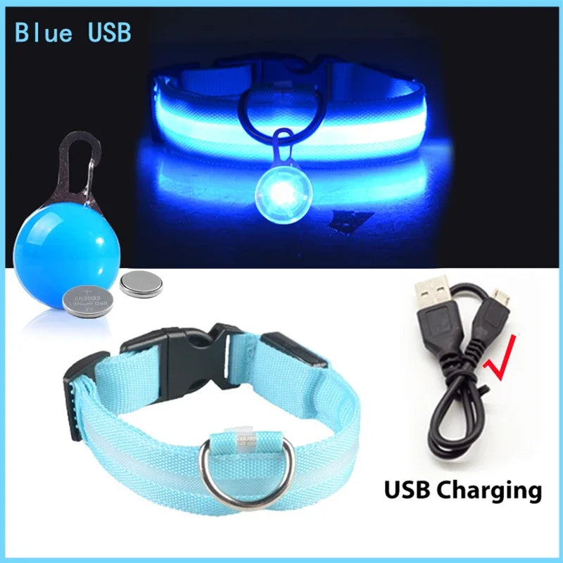 Usb Charging Glowing Dog Collar