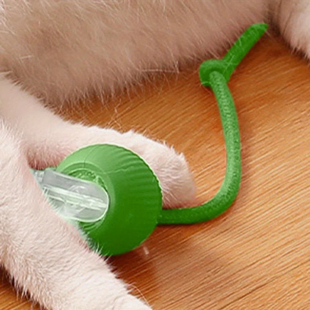 Automatic Interactive Cat Ball