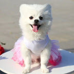 Sweet Dog Princess Dress