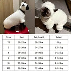 Hairless cat clothes