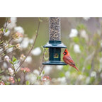 Truly Squirrel-Proof Bird Feeder