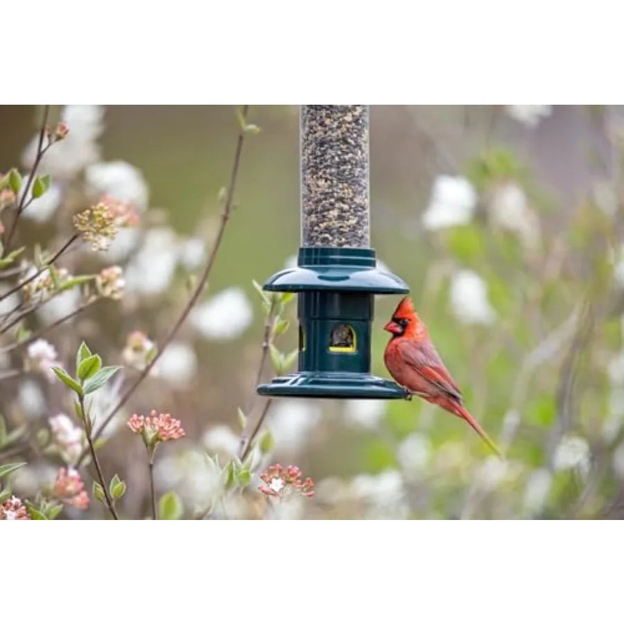 Truly Squirrel-Proof Bird Feeder