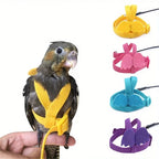 Bird Harness/Leash Training