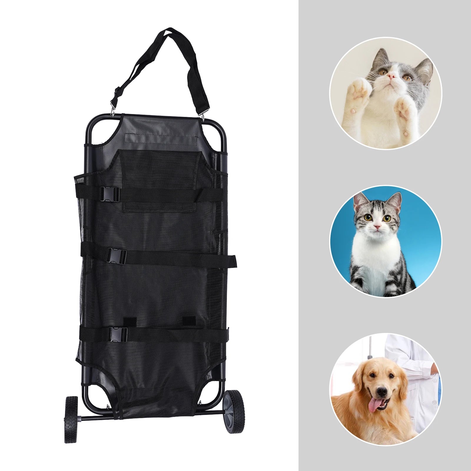 Pet Stretcher Veterinary Transport
