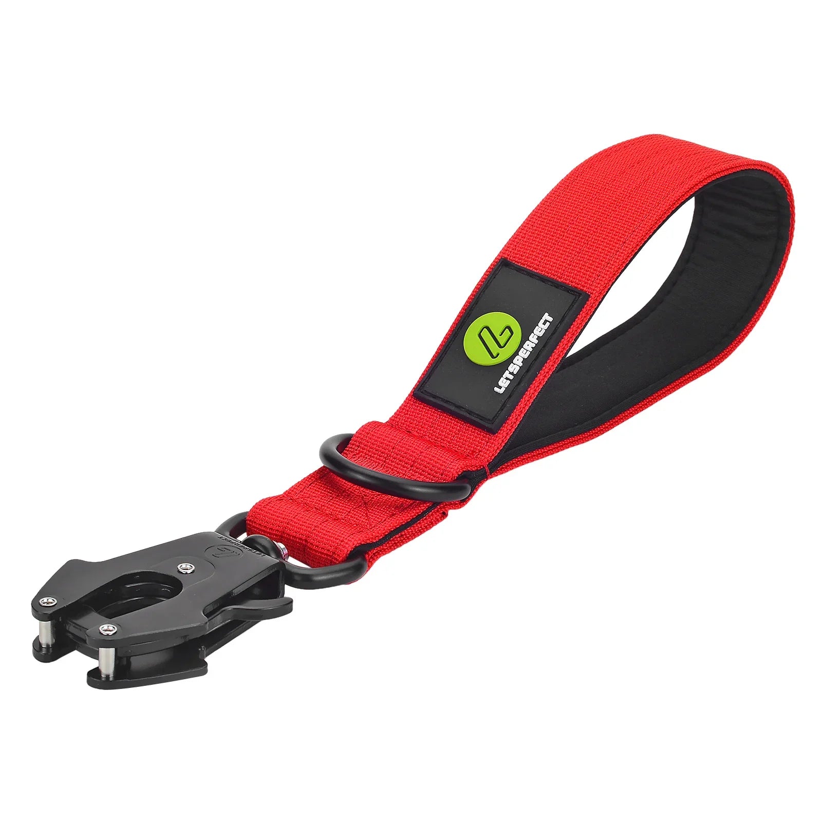 Short Dog Leash Traffic