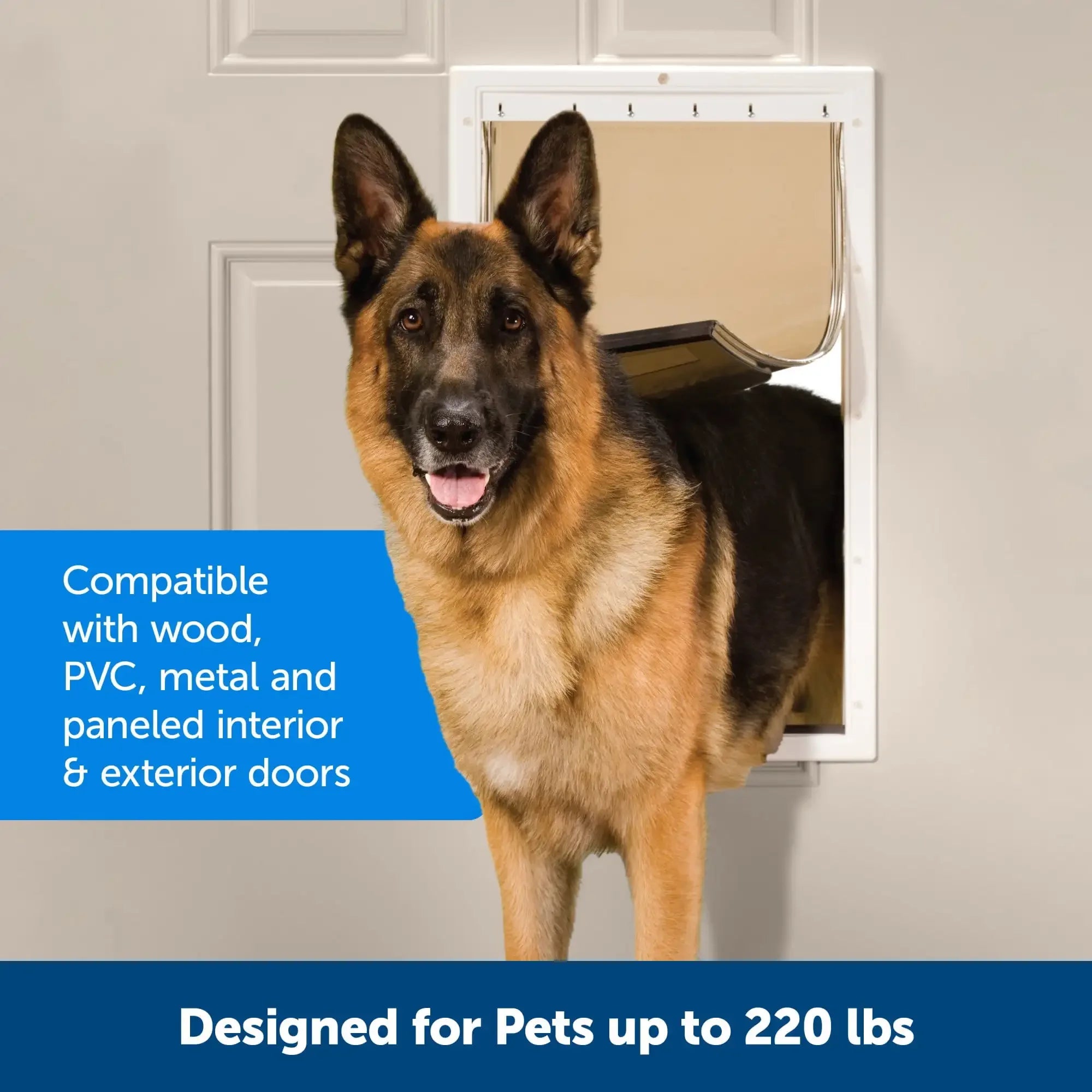 Plastic Dog/Cat Door