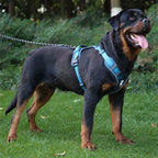 Dog Harness Reflective M/L Tactical Vest