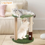 Cat Tree/3 Scratcher Posts