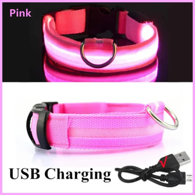 USB Charging LED Dog Collar