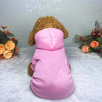Winter Dog Clothes