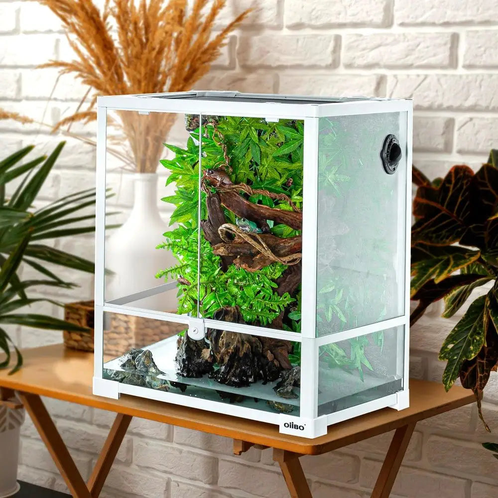 30 Gallon Glass Terrarium