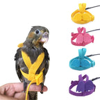 Bird Harness/Leash Training