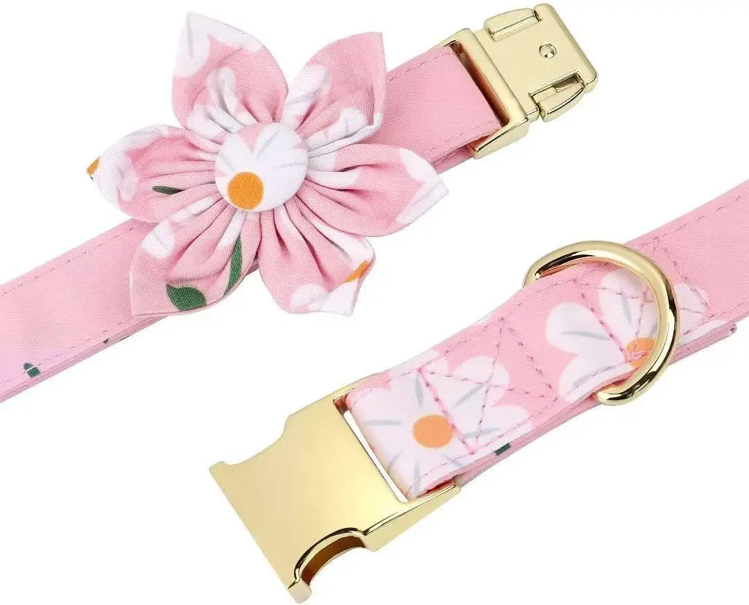 Cute Harness & Leash Set