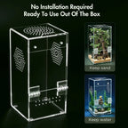 Jumping Spider Enclosure