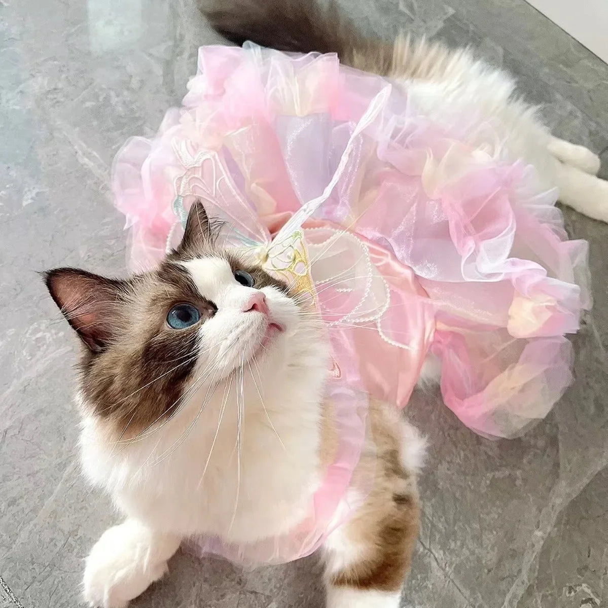 Dog/Cat spring princess Dress