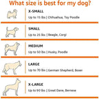 Travel Crate for Dogs