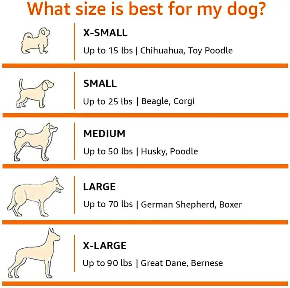Travel Crate for Dogs