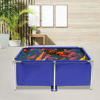 Fish Tank Swimming Pool