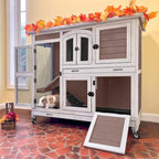 Rabbit Hutch, Guinea Pig/Cage