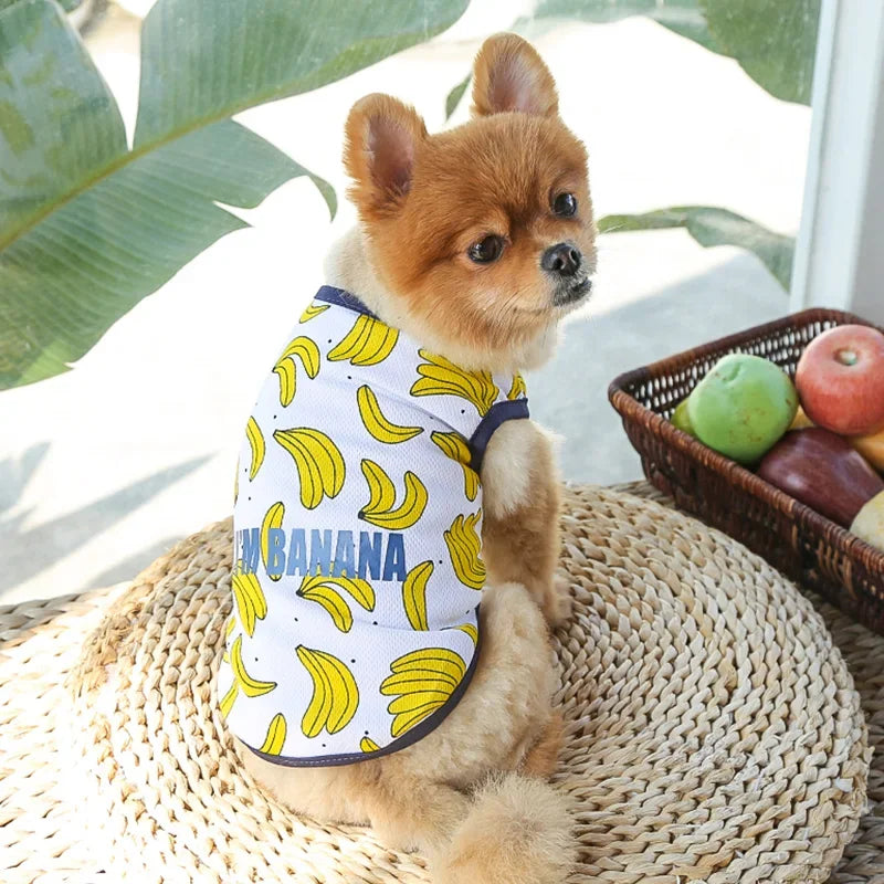 Cartoon Print Cotton Apparel