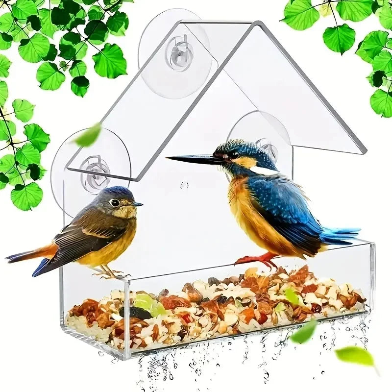 Transparent Bird Feeder