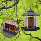 Wild Bird Feeder