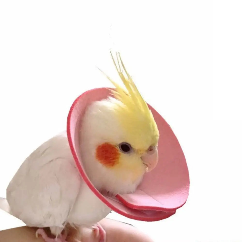 Bird Accessories Anti-bite