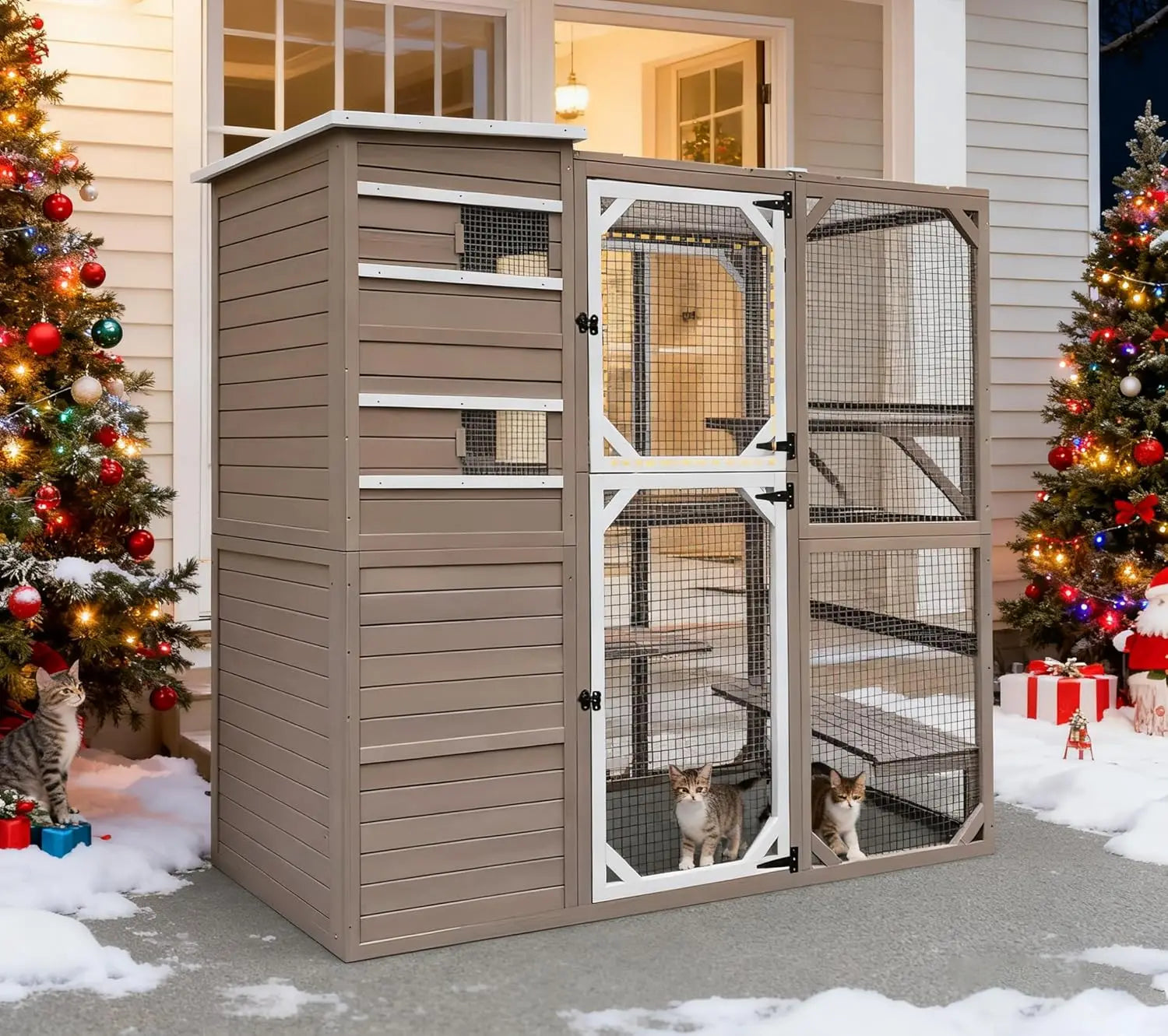 Large Cat Enclosure