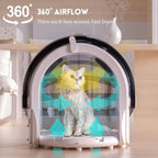 Automatic Pet Dryer Machine