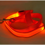 Flashing Leash Leash Rope