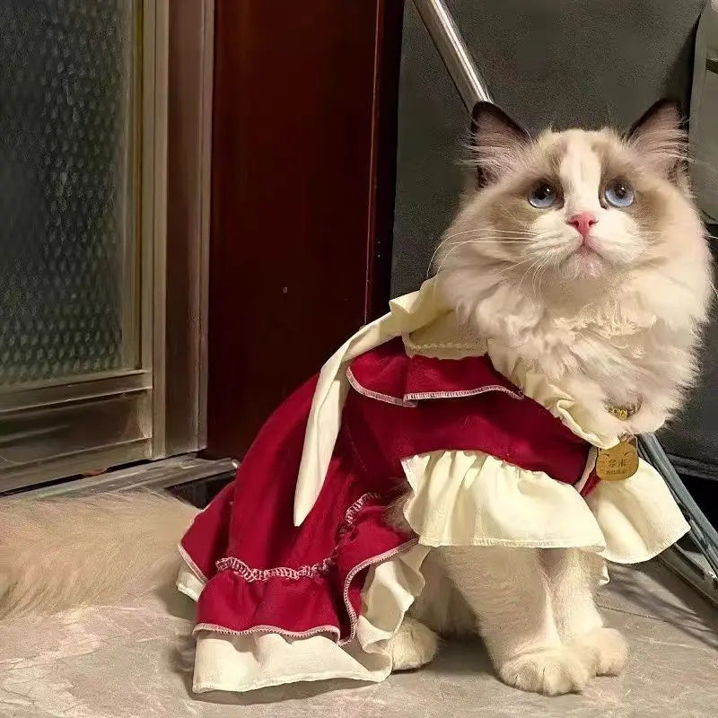 Cat Skirt Bow Princess