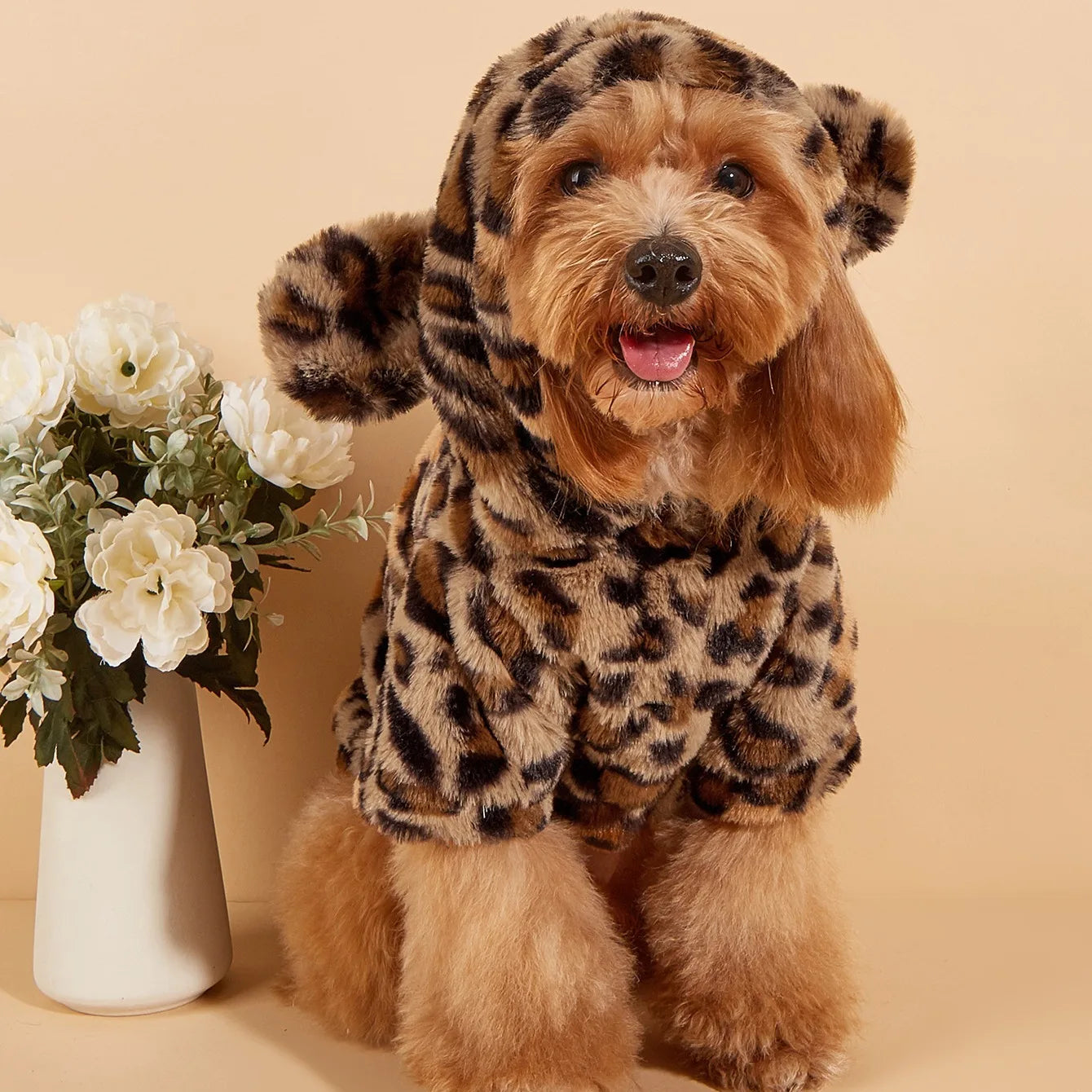Pet Hoodie For Small & Medium Dogs