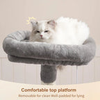 Cat Tree with Toy