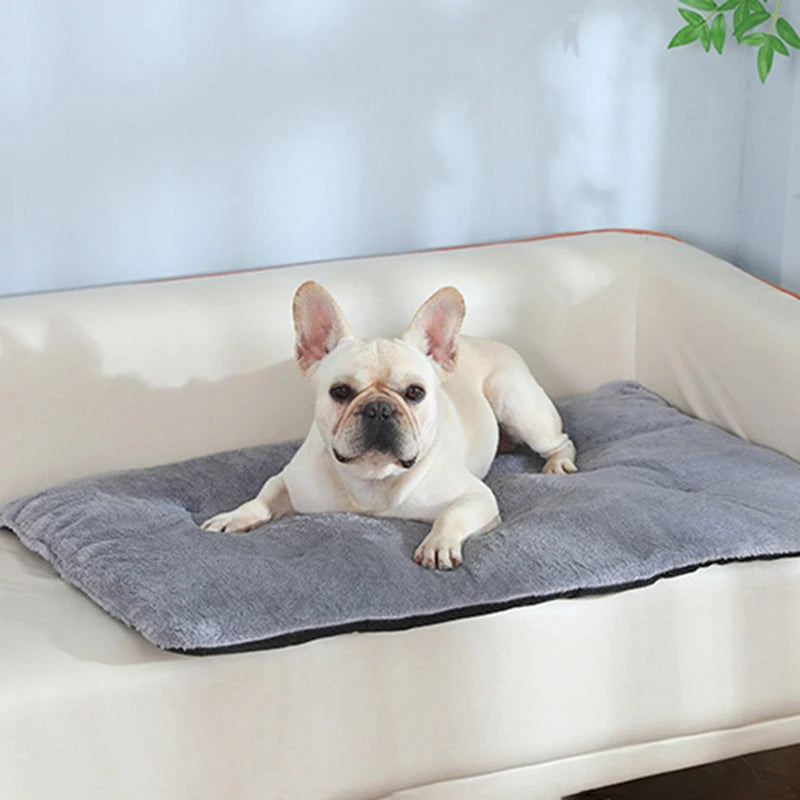 Dog/Cat Bed Heated