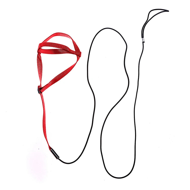 Bird Harness/Leash Activities