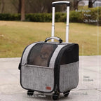Stroller for Small Dogs/Cats/Rabbits