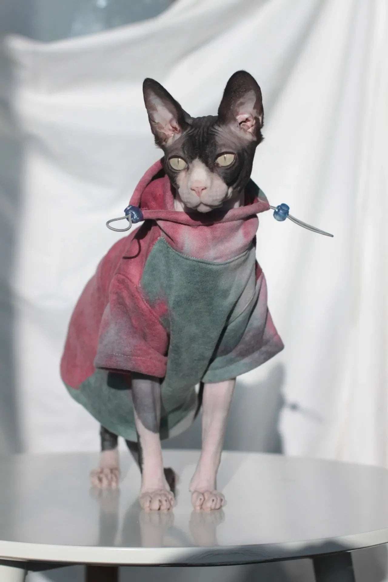 Sphynx Hairless Cat Clothes
