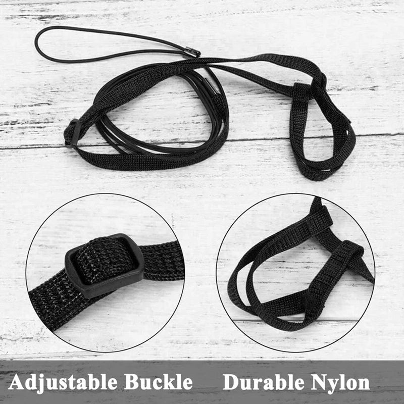 Bird Harness/Leash Activities