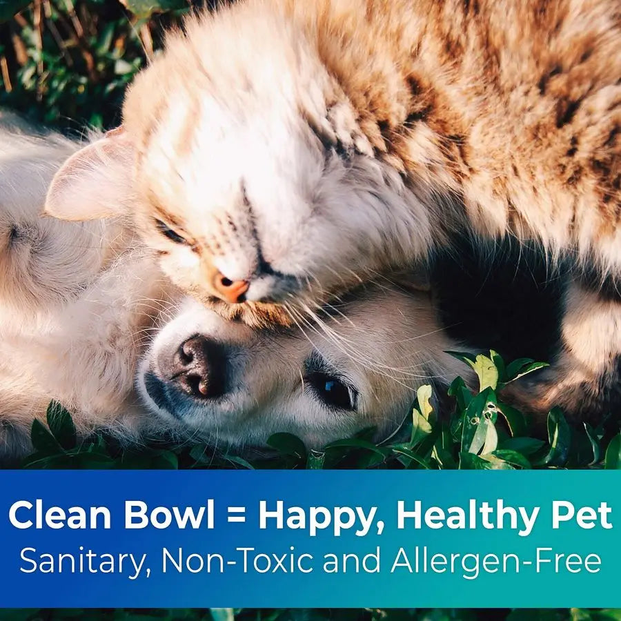 Biodegradable/Disposable Pet Bowls