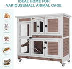 Rabbit Hutch, Guinea Pig/Cage