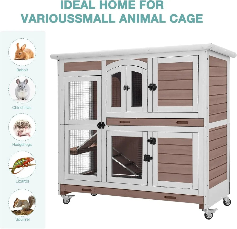 Rabbit Hutch, Guinea Pig/Cage