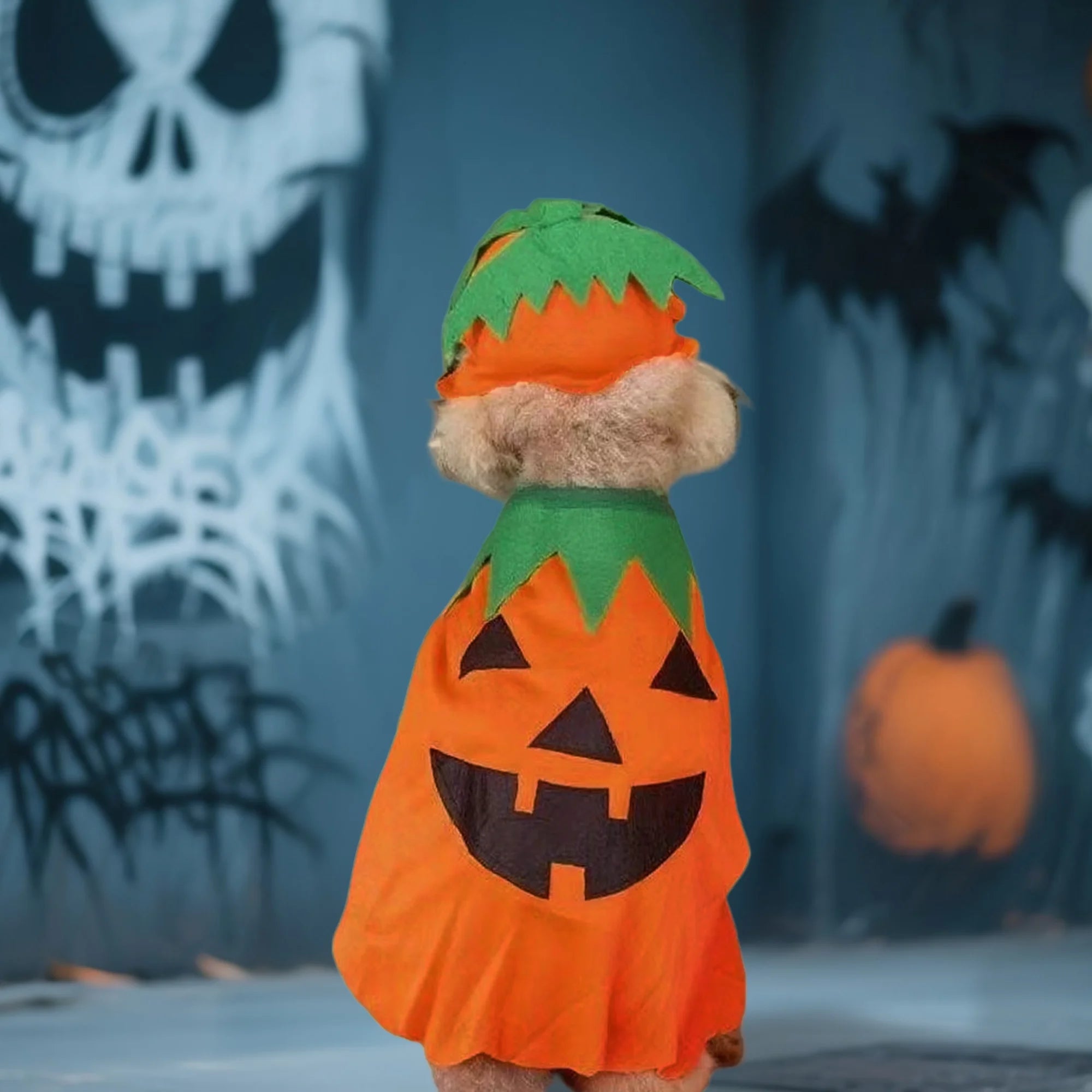 2Pcs Halloween Cat Costumes
