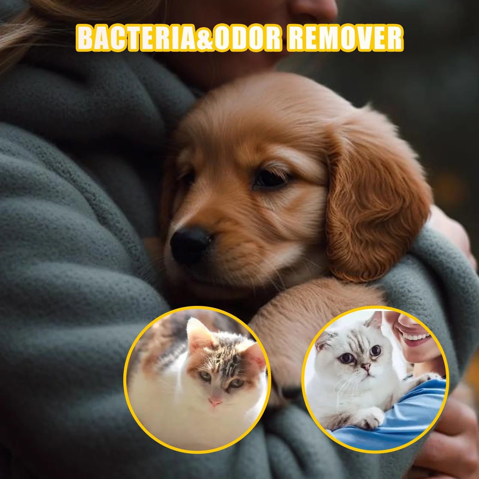 Pet deodorant spray cat litter