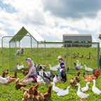 Flat Style Poultry Cage